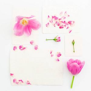 粉红色的郁金香 玫瑰 纸卡