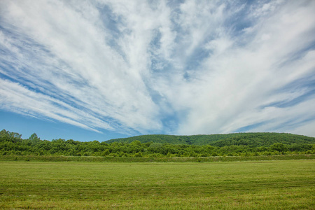 天空中有大片云彩的绿色田野。背景