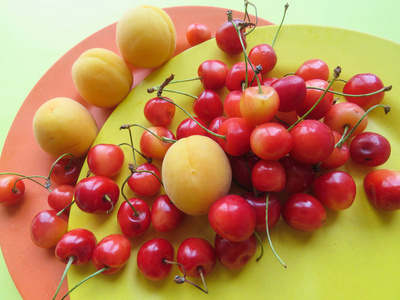 杏和甜樱桃图片
