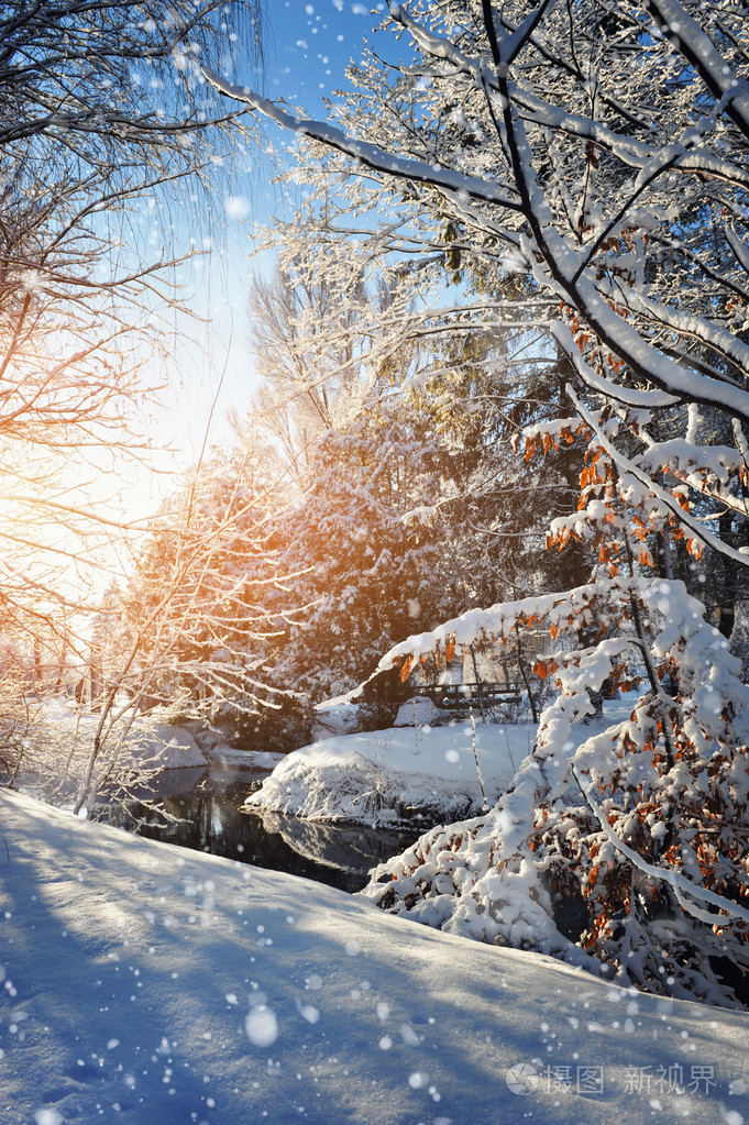 美丽的冬天风景与雪覆盖的树木
