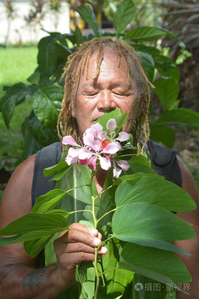旧的太平洋岛人在生态旅游上闻到一朵花