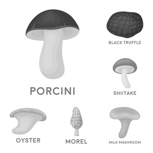有毒和可食用的蘑菇单色图标集合中的设计。不同类型的蘑菇矢量符号库存 web 插图