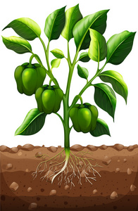 低的树枝图片-低的树枝素材-低的树枝插画-摄图新视界