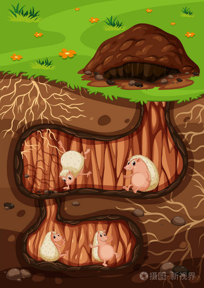 一个刺猬家庭生活的地下插图插画-正版商用图片0olpmm-摄图新视界