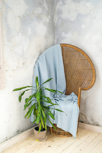 老式古木椅, 蓝色格子针织的封面和异国情调的绿色植物在一个轻木背景