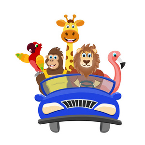 狮子和汽车五被隔绝的动物在白色背景.卡通人物移动和驱动蓝色汽车.