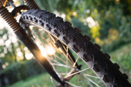 自行车车轮上日落背景