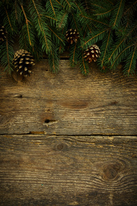 圣诞树枝上木纹理