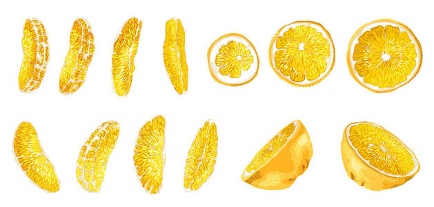 大集与柑橘类水果切片不同形状, 如圆圈, 半和长亮片。有13种元素的现实矢量绘图风格设计