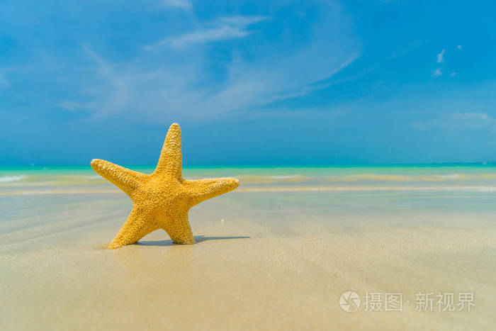 在阳光明媚的一天海滩上的海星