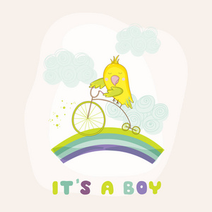 可爱的鹦鹉骑一辆自行车。婴儿沐浴或到达卡在矢量