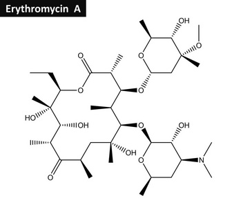 红霉素的分子结构图片