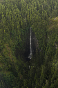 斯基纳瀑布鸟瞰图夏洛特区域区, 海达 Gwaii, 格雷厄姆岛, 不列颠哥伦比亚, 加拿大