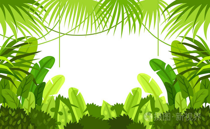 热带森林.框架.孩子.设计.矢量背景.插图