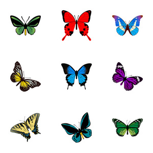现实的凤蝶 Demophoon Bluewing 和其他向量元素。蛾现实符号集还包括紫色 飞 孔雀石对象
