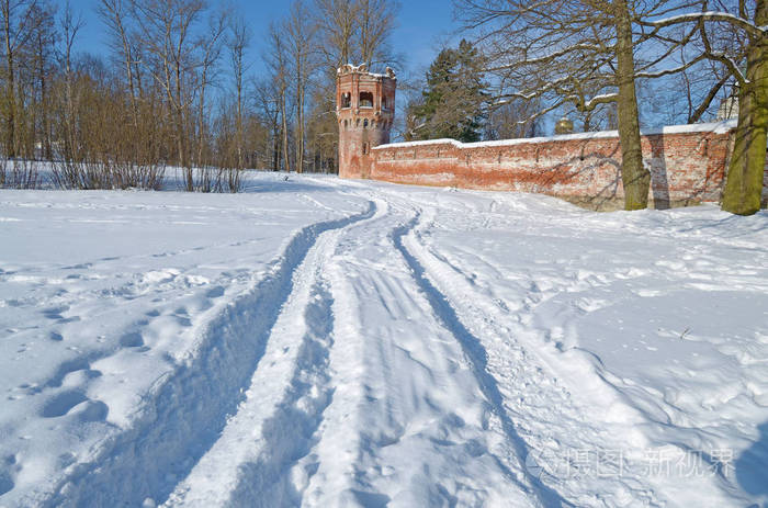 在雪地里的汽车痕迹轮胎花纹图案可见