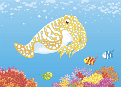 fishes 在热带海礁上游过五颜六色的珊瑚, 卡通风格的矢量插画照片