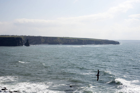 多岩石的海岸线和县嘉里爱尔兰野生大西洋路上的悬崖