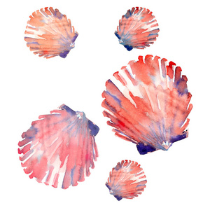 明亮的可爱的图形的可爱的美丽的美妙的夏天新鲜海洋海滩彩色的贝壳图案水彩手图。完美的纺织设计贺卡