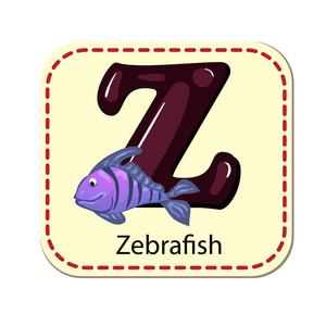 孤立的手语字母 Z 斑马鱼的插图