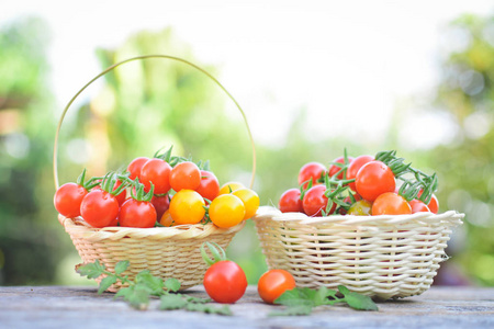 西红柿在篮子里木头从泰国选择性和软焦点