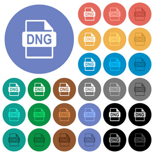 Dng 文件格式圆形平面多色图标