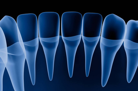 透明的牙齿扫描, x 射线视图。3d 插图