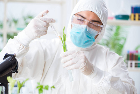 在植物实验室工作的男性生物化学家