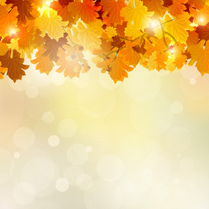 多彩的秋天的树叶背景