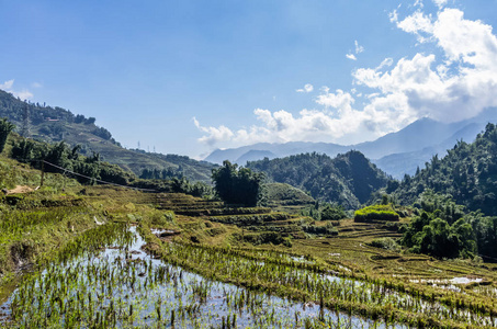 越南萨帕村水稻露台美景图片