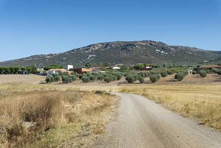 在 La Mancha 农业景观的小村庄