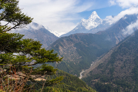 Ama 达布山高峰和松树树，珠穆朗玛峰地区尼泊尔