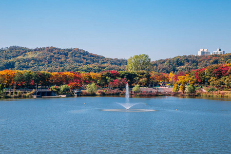 仁川大公园图片