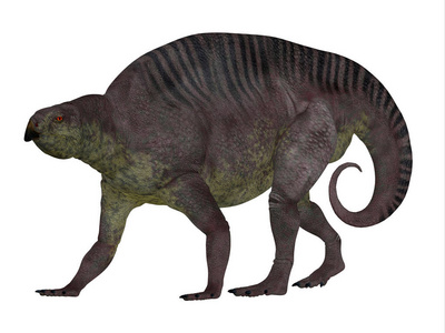 Lotosaurus 恐龙侧面简介