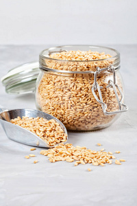 燕麦丰富的纤维和蛋白质来源。健康饮食减肥, 降低血糖水平, 降低心脏病风险