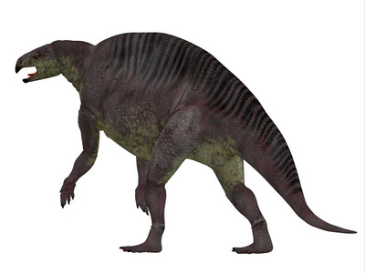 Lotosaurus 恐龙尾巴