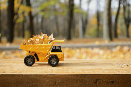 一辆小玩具黄色卡车装着黄色落叶。汽车站在一个木质的表面上, 在一个模糊的秋季公园的背景下。清理和清除落叶。季节性工程
