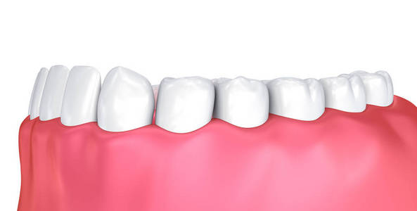口腔口香糖和牙齿。医学上精确的牙3d 例证
