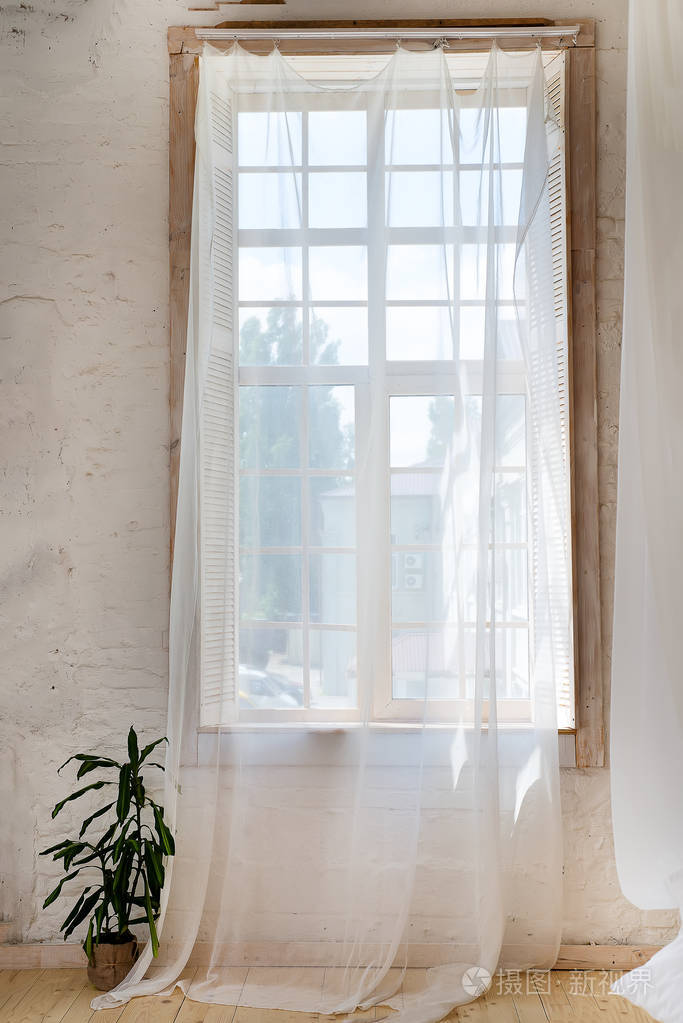 玻璃窗上有白色的窗帘, 花在花盆上的地板上, 看着树木.