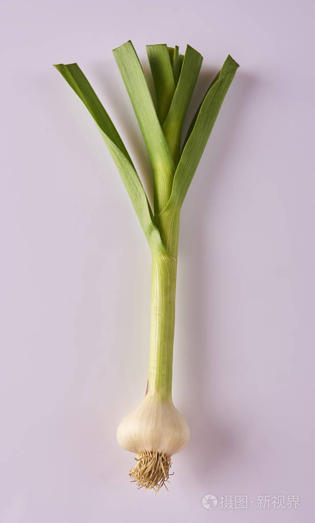 白色背景绿色叶子的新鲜大蒜鳞茎