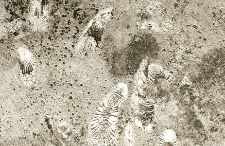 亚扪人化石上岩石纹理图片
