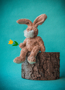 坐在树桩上稳定的黄色郁金香复活节兔