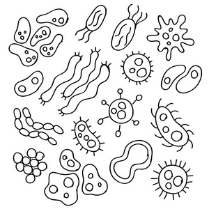 微生物手绘图片