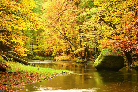 大的巨石落在秋江。秋天的山区河流的颜色。多彩的银行，叶树上面河弯