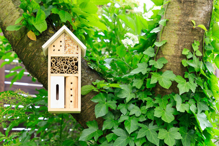 昆虫旅馆图片-昆虫旅馆素材-昆虫旅馆插画-摄图新视界