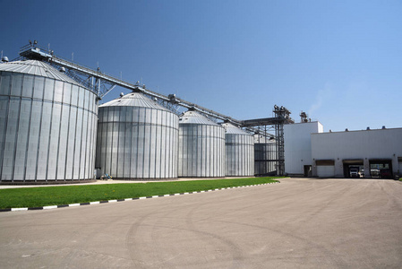 在阳光明媚的夏日里的大现代粮仓.谷物金属容器照片