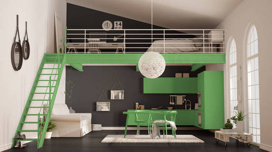 斯堪的纳维亚的简约阁楼，带绿色恪守一居室公寓