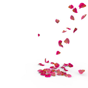 玫瑰花瓣掉在地上照片