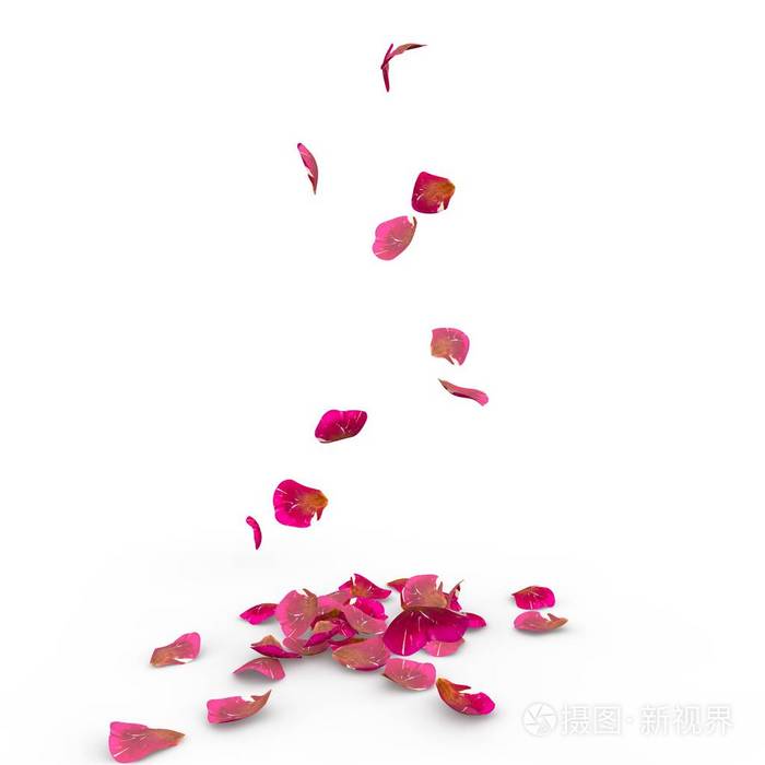 玫瑰花瓣掉在地上