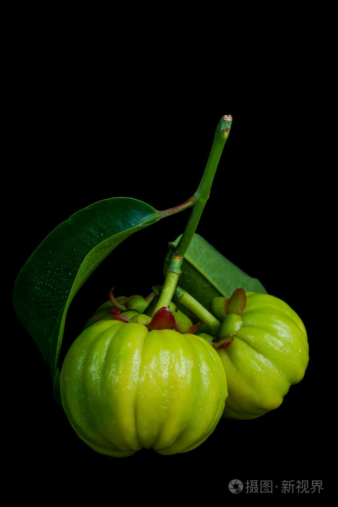 在黑色背景上新鲜藤黄果关闭